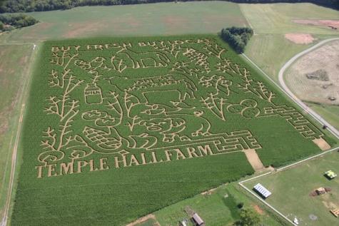 Go to a Corn maze- The Maize, Temple Hall Farm, Leesburg, VA- Have hours of fun exploring The Maize at Temple Hall Farm. Get lost in the intricate twists and turns of this vast corn maze! Once you make your way out of the maze you can enjoy food from the concession stands such as kettle corn, funnel cakes, and apple cider! Daytime admission to Temple Hall Farm is $12, and nighttime admission is $9. For more info go to http://templehallfallfest.com/. 