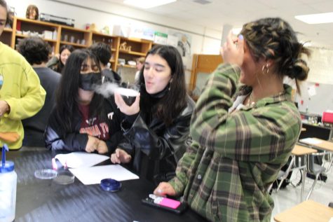 STEM Club Close-Ups