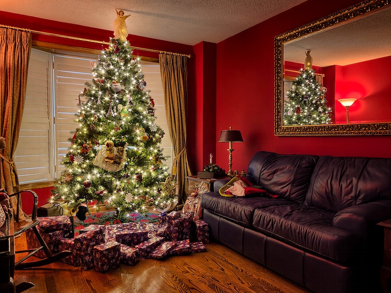 Christmas tree in cozy living room. Free public domain CC0 photo.