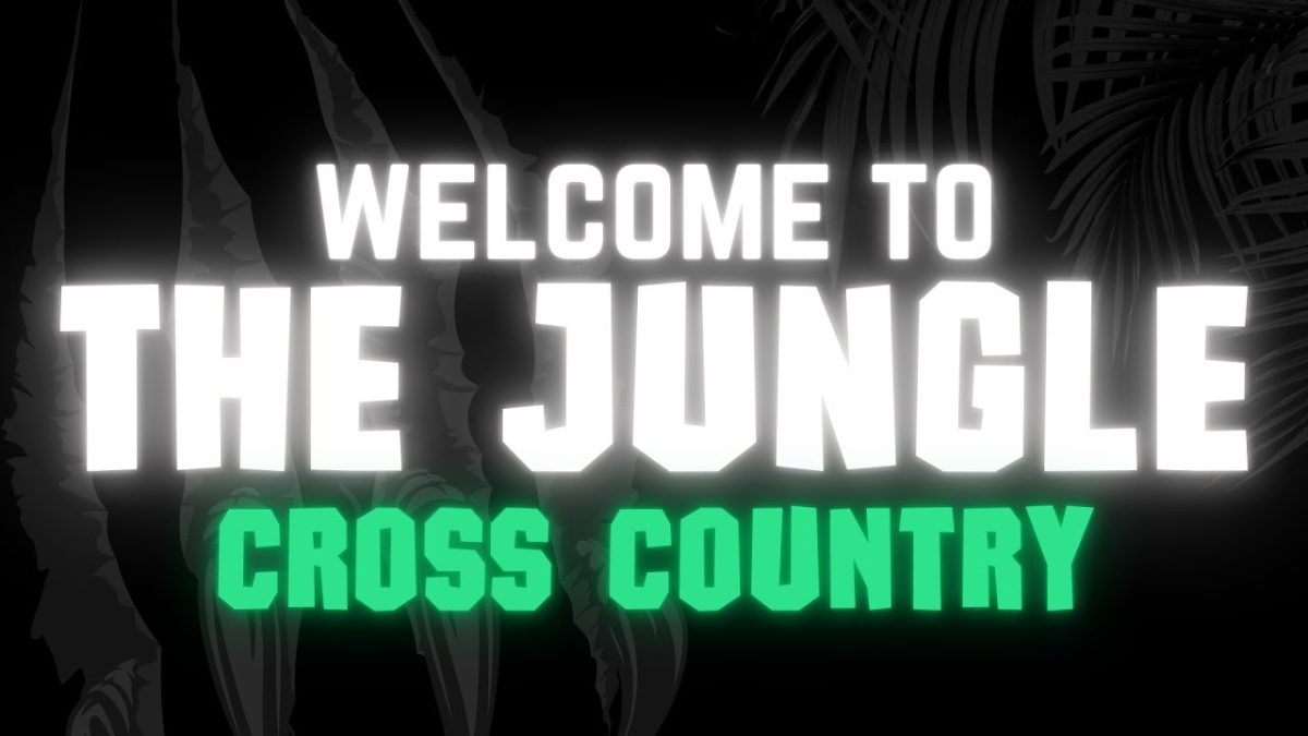 Welcome to the Jungle: Cross Country