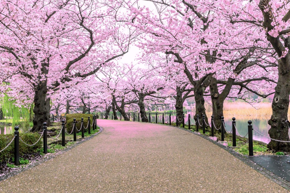 Out with Winter, In with Spring